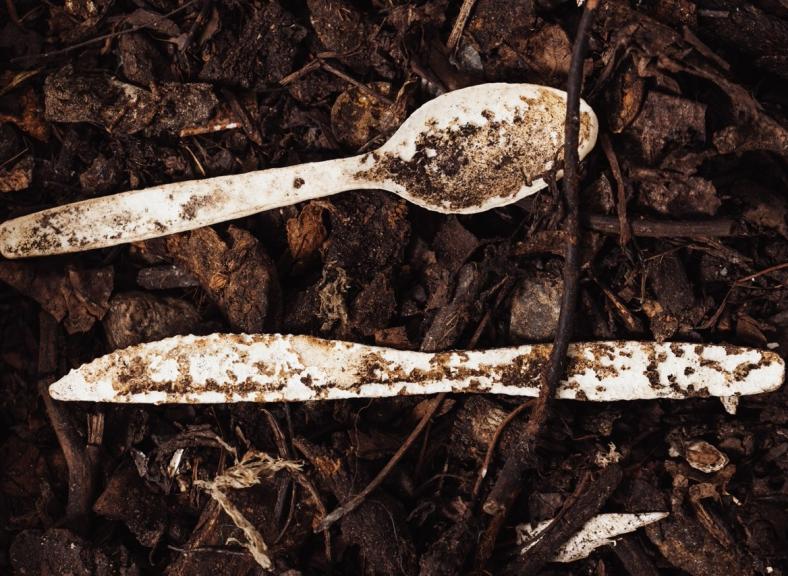 20260325_cj-biomaterials_compost-0650h.jpeg