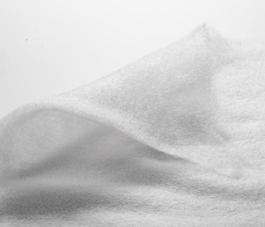 _dsc0190.jpeg