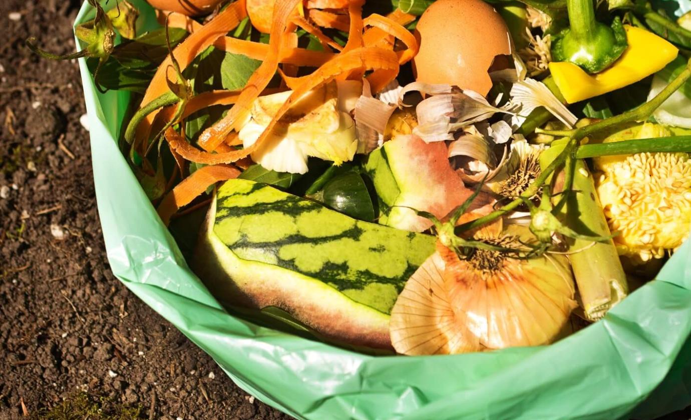 COMPOST BAG.jpg