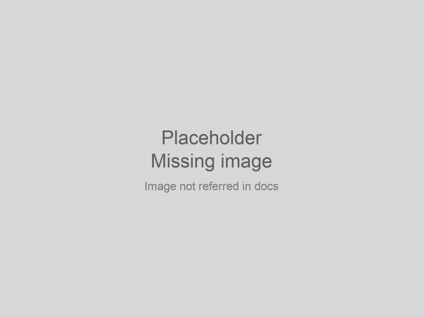 placeholder-no-image-in-docs.jpg