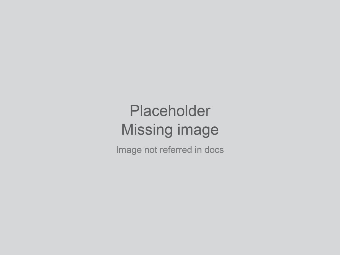 placeholder-no-image-in-docs.jpg