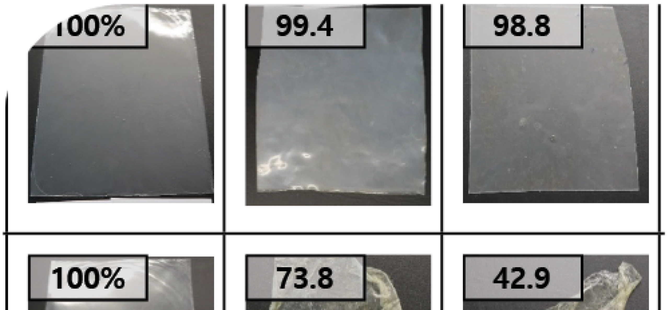 FeaturedImg-Blog-Biodegradability.png