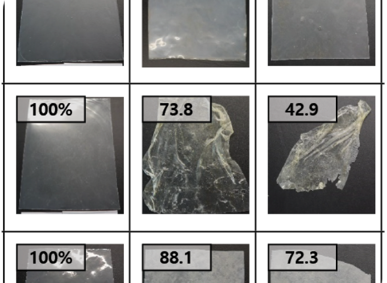 FeaturedImg-Blog-Biodegradability.png