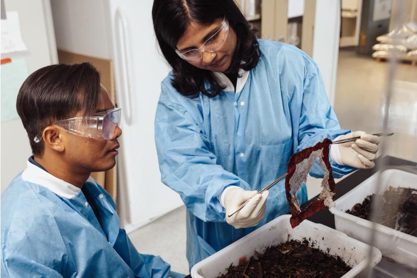 20260325_cj-biomaterials_compost-0534.jpeg